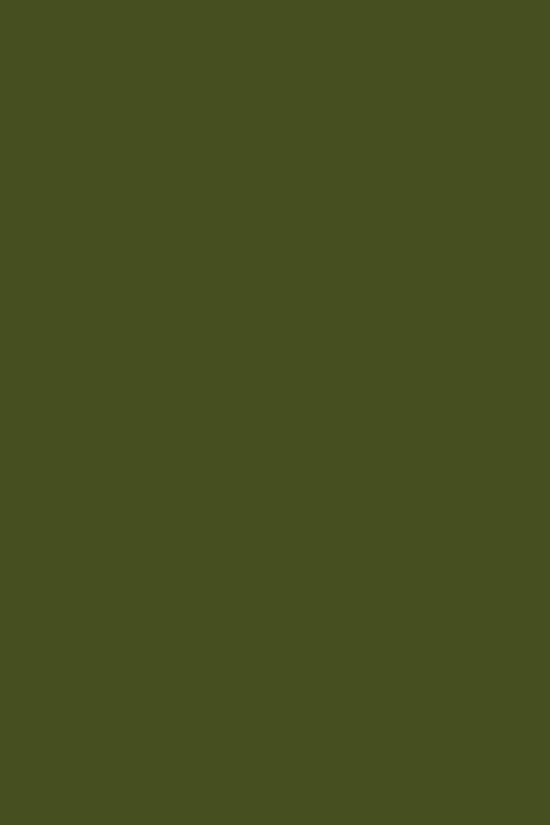 Mustard Made color swatch in Olive 