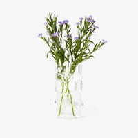 BZippy for Areaware Glass Hex Vase