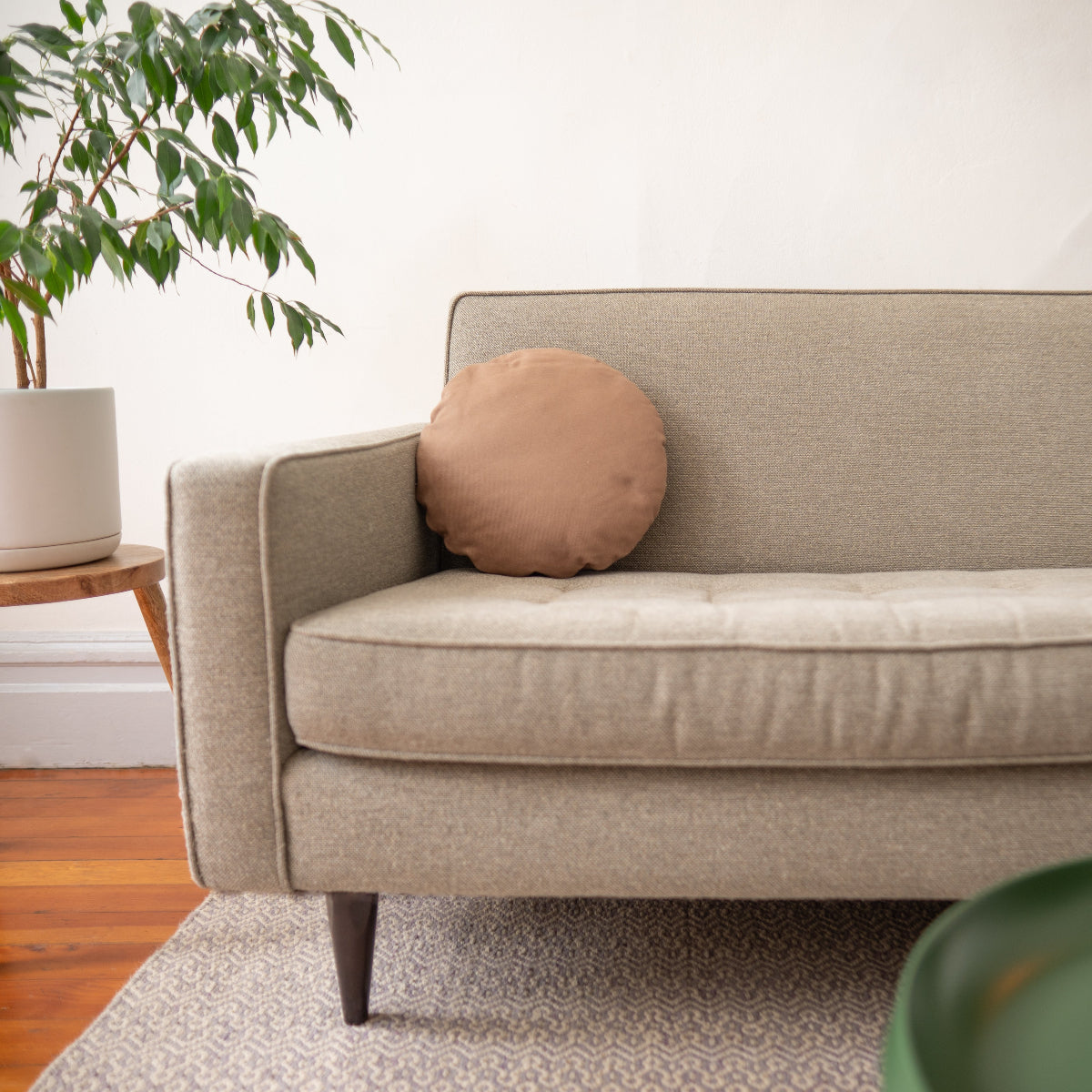 Beige sofa with a brown pillow in a room with a plant and wooden floor.
