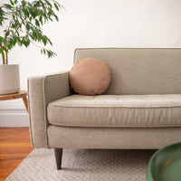 Beige sofa with a brown pillow in a room with a plant and wooden floor.
