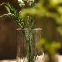 Clear glass vase with greenery against a blurred natural background
