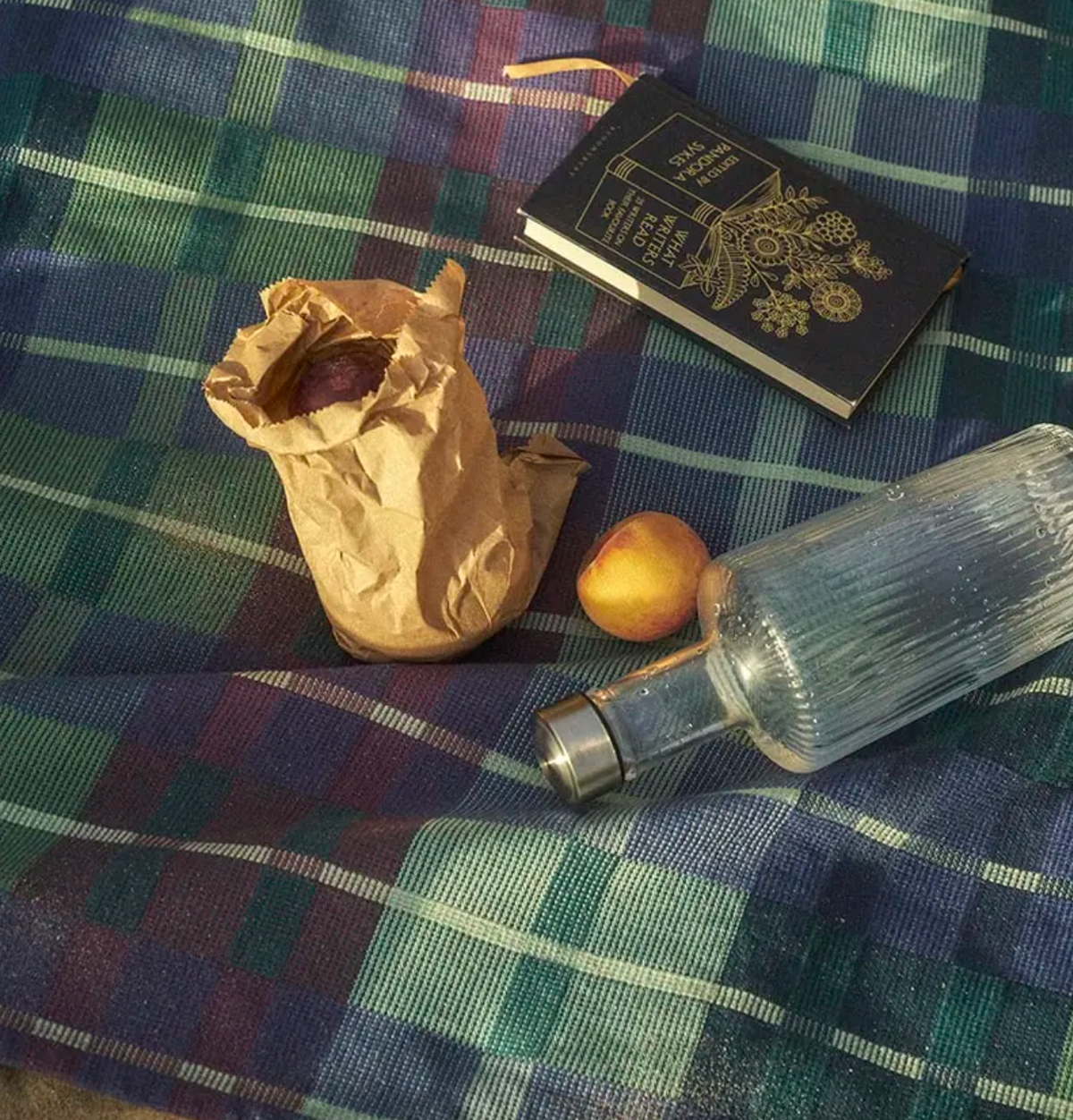 Bottle, fruit, and paper bag on a plaid fabric background
