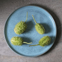 Four green spiky fruits on a blue plate with a gray background