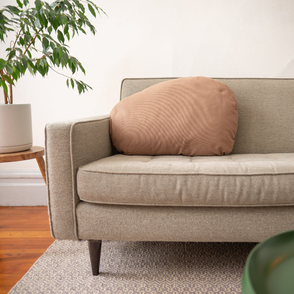 Beige sofa with a brown pillow in a room with a plant and wooden floor.