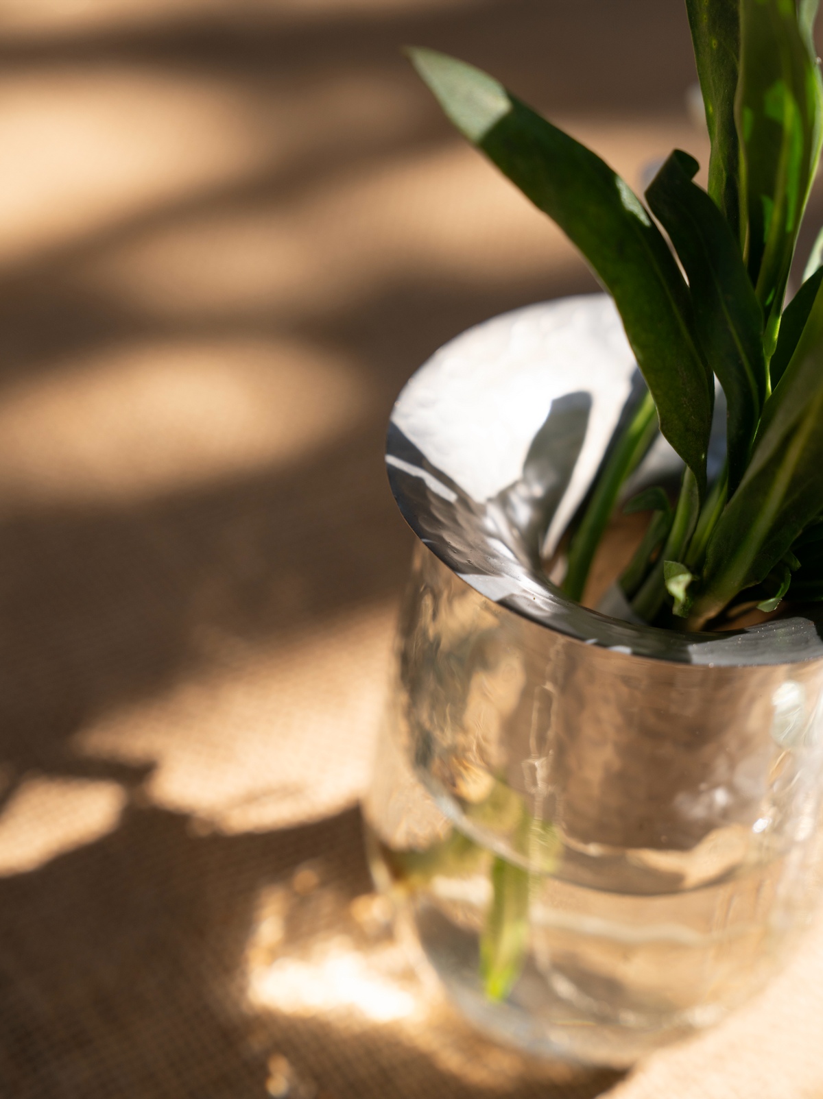Clear glass vase with green plant on a wooden surface