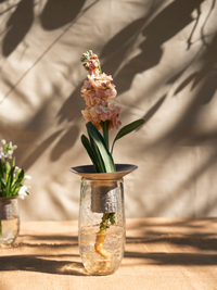 Small bouquet of pink flowers in a clear vase on a wooden surface with a neutral background