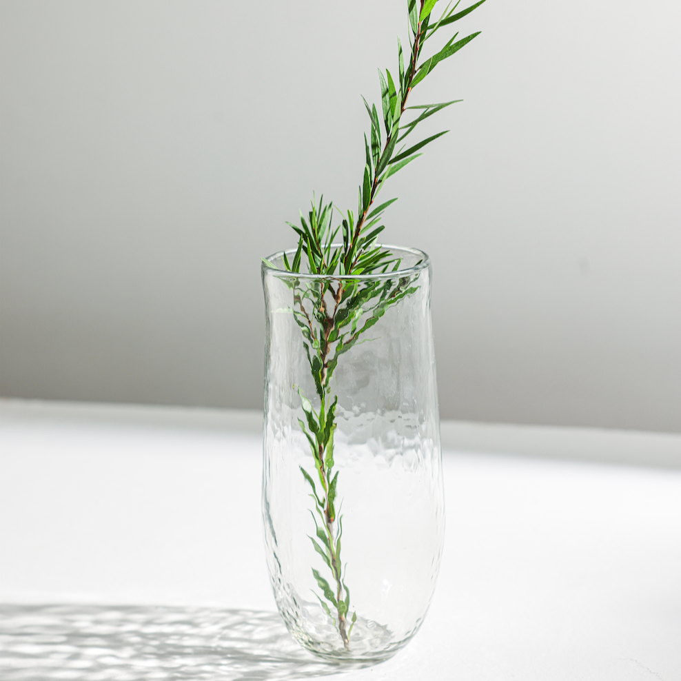 Clear glass vase with green plant on a white surface and gray background