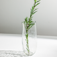 Clear glass vase with green plant on a white surface and gray background