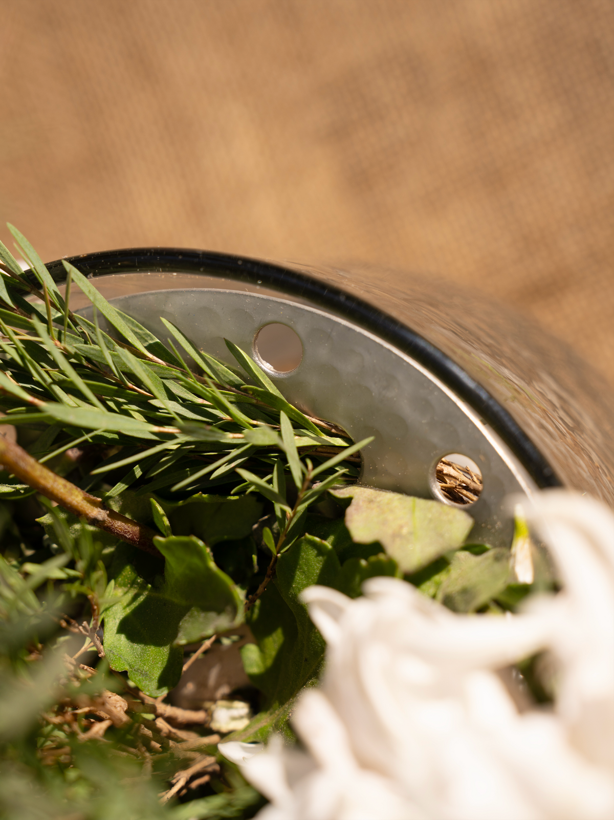 Close-up of a glass container and metal object with stems and leaves on a blurred natural background