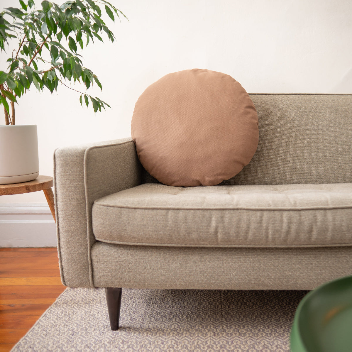 Beige sofa with a round brown pillow in a room with a plant and wooden floor.