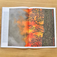 An open art book or magazine lying on a light wood surface, showing a printed landscape artwork with a gray sky, orange and yellow fire-like glow, bare tree silhouettes, and a dark green forested hillside. The title 'SOULS OF BLACK' is visible along the right edge.