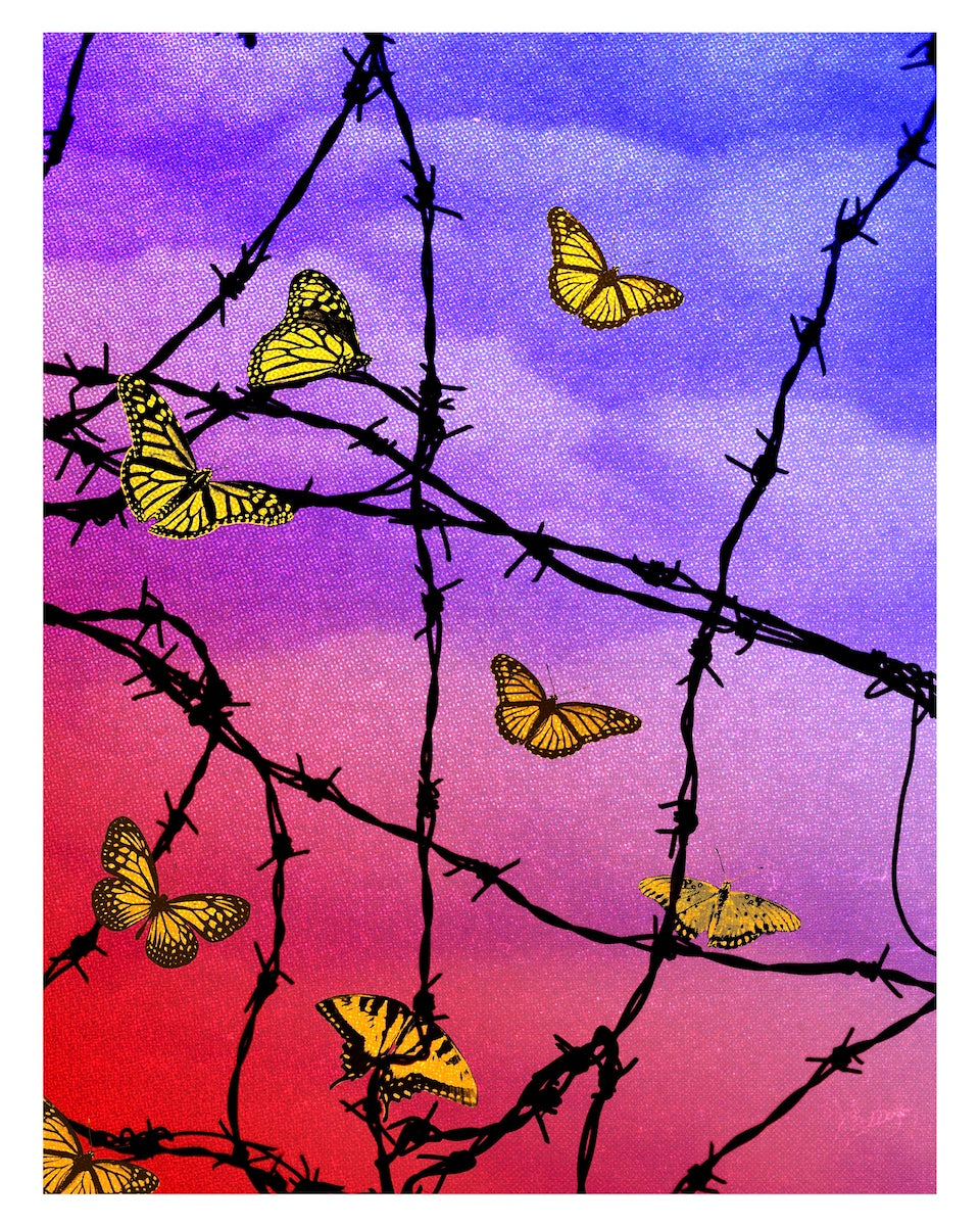 Yellow butterflies on barbed wire against a colorful gradient sky