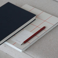 Two notebooks with a red pen on a textured surface