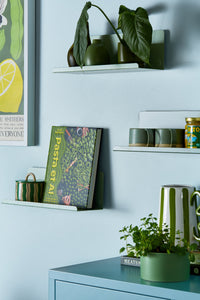 Shelves with green plants, books, and kitchenware against a light blue wall.