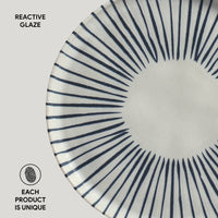 Ceramic plate with blue radial pattern on a gray background, labeled 'Reactive Glaze'.