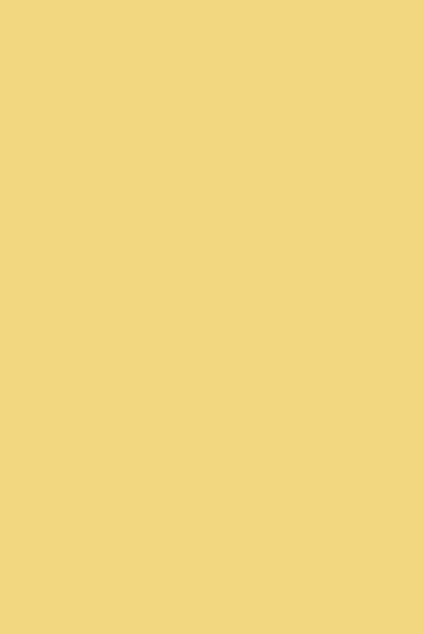 Mustard Made Butter Color Swatch