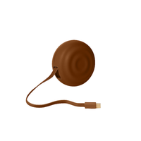 Brown retractable charging cable on a white background