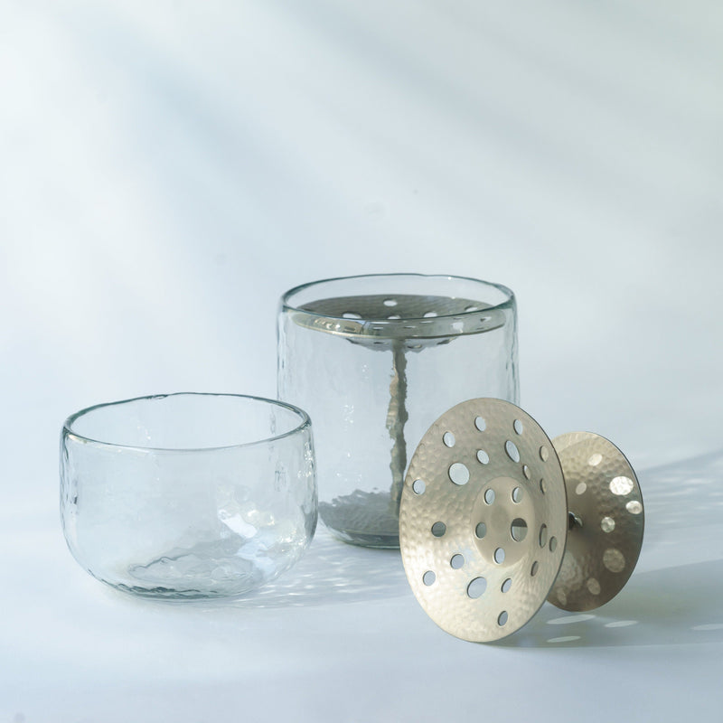 Clear glass vase and metal frog on a light background