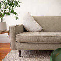 Beige sofa with a pillow in a room with a plant and wooden floor.