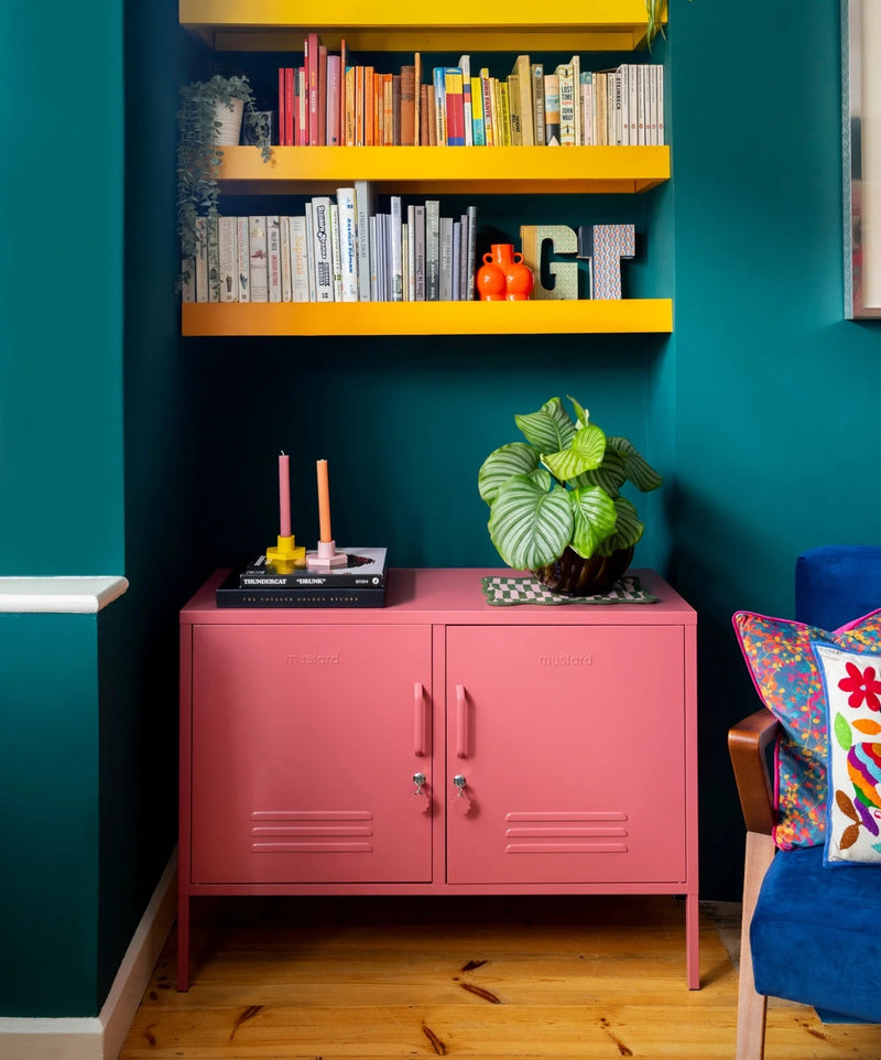 Pink metal locker cabinet with a plant and books on a teal wall