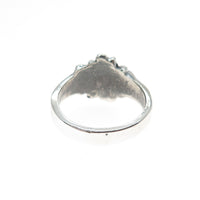 Silver ring on a white background