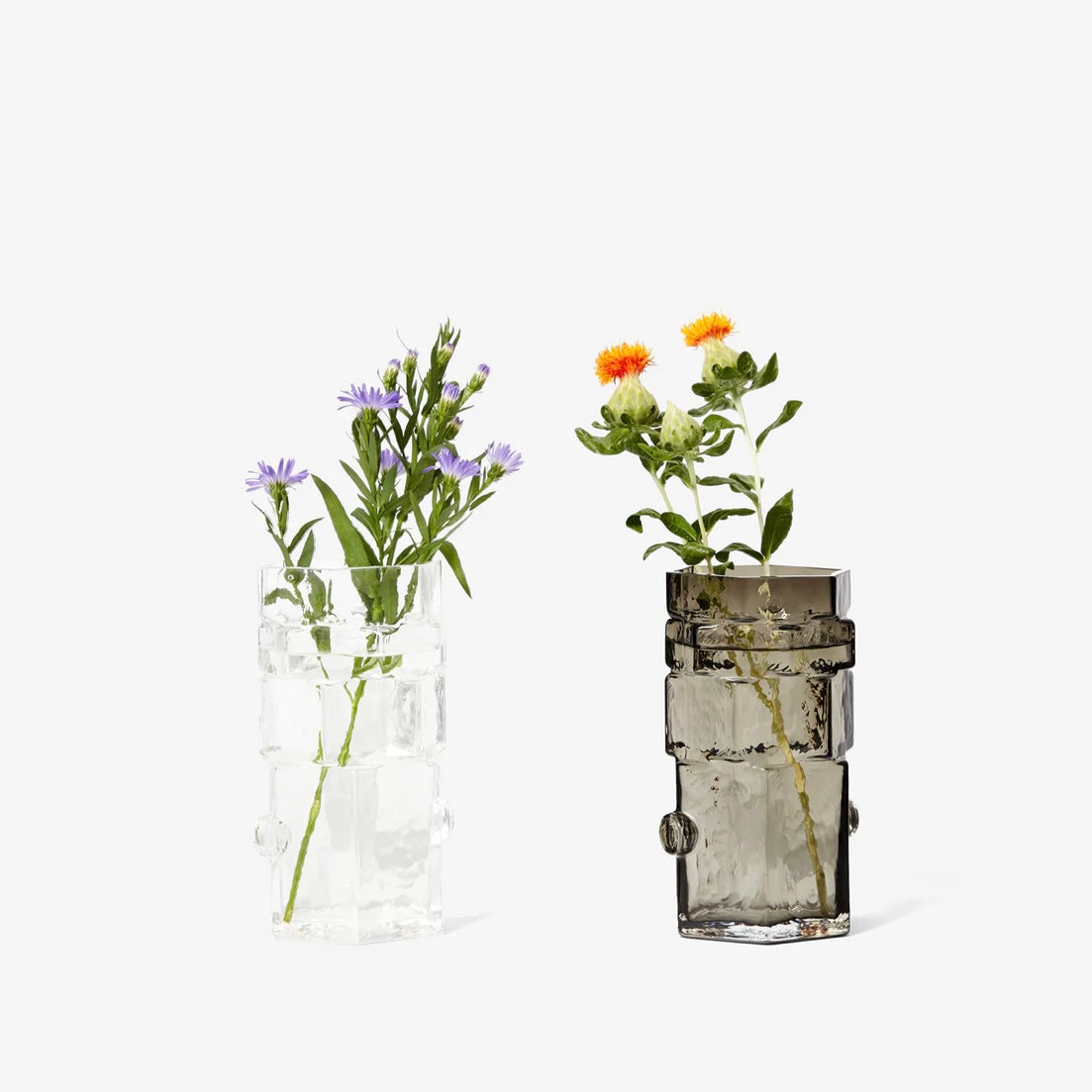 BZippy for Areaware Glass Hex Vases